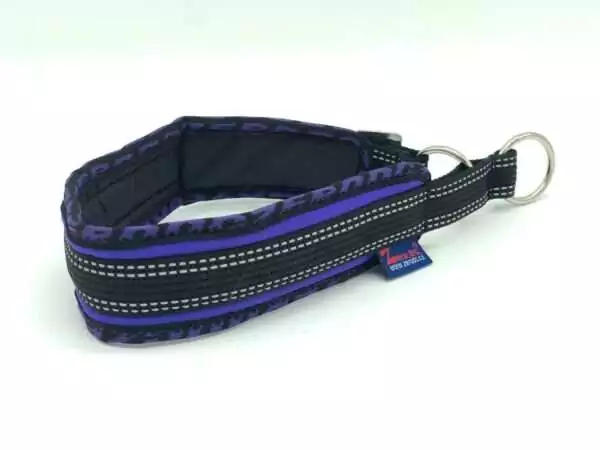 Zugstopp Hundehalsband Zero DC Lila 30008