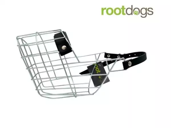 rootdogs Maulkorb Dogo Canario Rüde verzinkt 50144