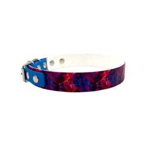 Hundehalsband UV-Druck Neon Lion